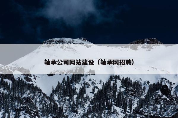 轴承公司网站建设（轴承网招聘）