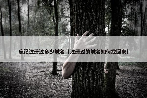 忘记注册过多少域名（注册过的域名如何找回来）