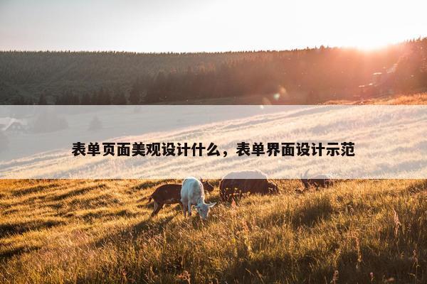表单页面美观设计什么，表单界面设计示范
