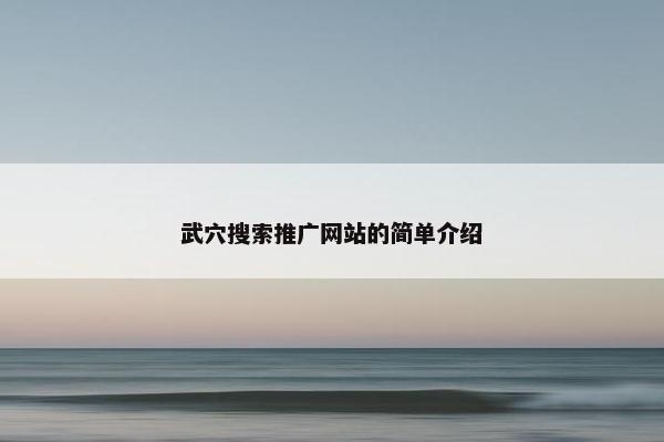 武穴搜索推广网站的简单介绍