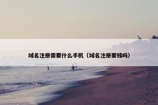 域名注册需要什么手机（域名注册要钱吗）