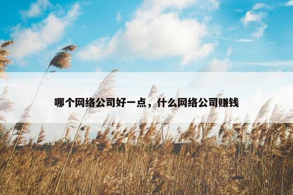 哪个网络公司好一点，什么网络公司赚钱