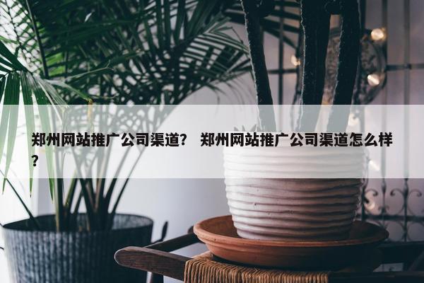 郑州网站推广公司渠道？ 郑州网站推广公司渠道怎么样？
