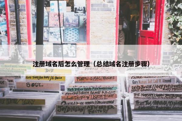 注册域名后怎么管理（总结域名注册步骤）