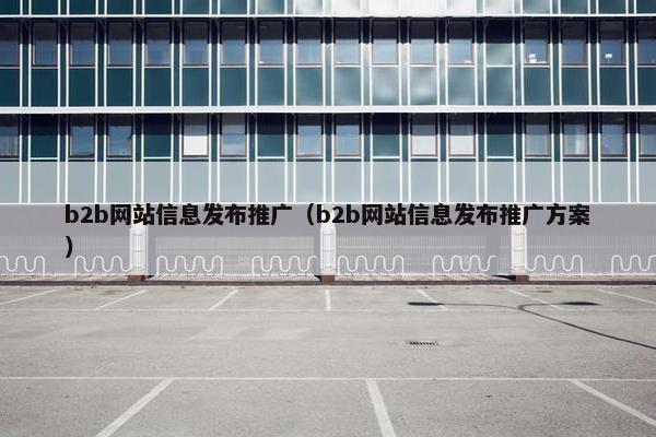 b2b网站信息发布推广（b2b网站信息发布推广方案）