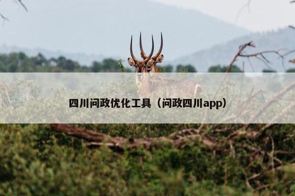 四川问政优化工具（问政四川app）
