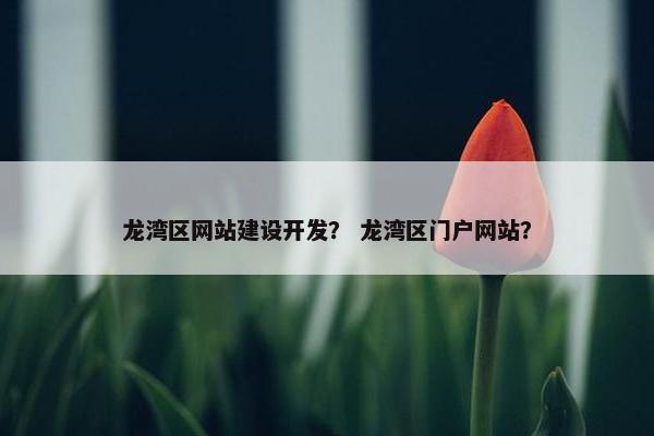 龙湾区网站建设开发？ 龙湾区门户网站？