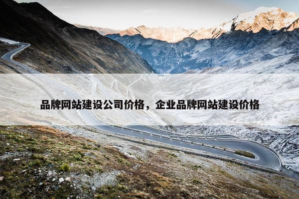 品牌网站建设公司价格，企业品牌网站建设价格