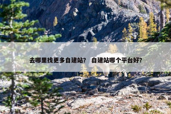 去哪里找更多自建站？ 自建站哪个平台好？