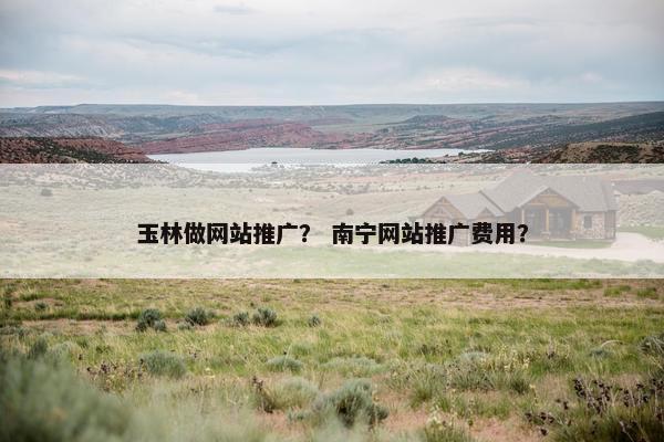 玉林做网站推广？ 南宁网站推广费用？