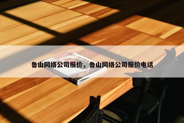 鲁山网络公司报价，鲁山网络公司报价电话
