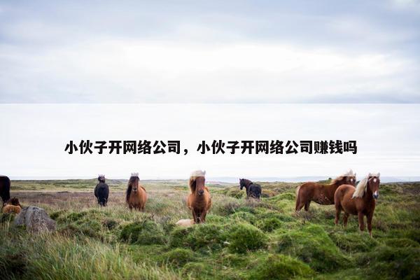 小伙子开网络公司，小伙子开网络公司赚钱吗