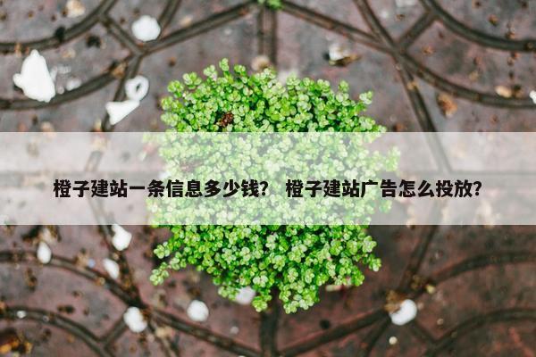 橙子建站一条信息多少钱？ 橙子建站广告怎么投放？