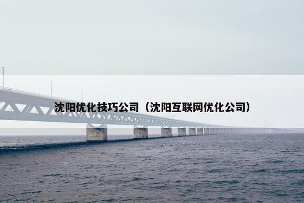沈阳优化技巧公司（沈阳互联网优化公司）