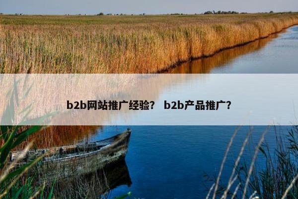 b2b网站推广经验？ b2b产品推广？