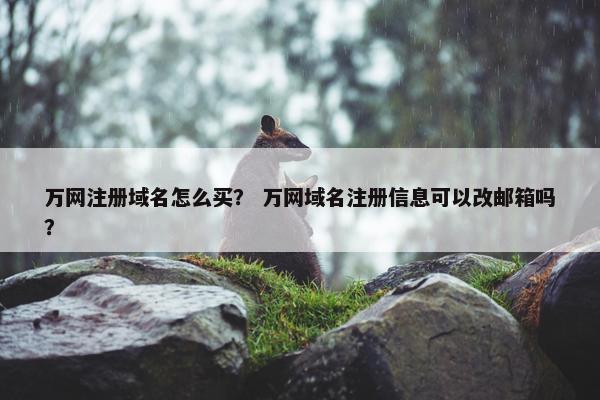 万网注册域名怎么买？ 万网域名注册信息可以改邮箱吗？
