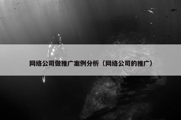 网络公司做推广案例分析（网络公司的推广）