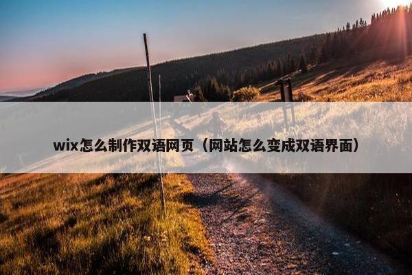 wix怎么制作双语网页（网站怎么变成双语界面）