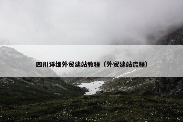 四川详细外贸建站教程（外贸建站流程）