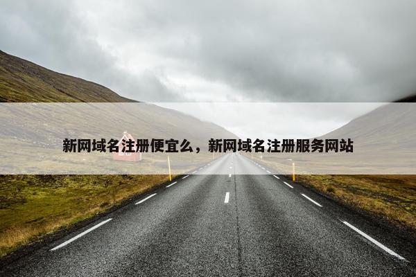 新网域名注册便宜么，新网域名注册服务网站