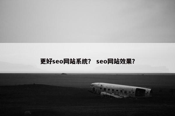 更好seo网站系统？ seo网站效果？
