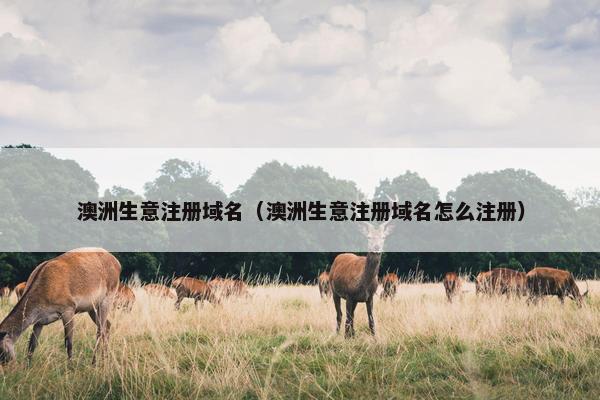 澳洲生意注册域名（澳洲生意注册域名怎么注册）