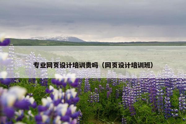 专业网页设计培训贵吗（网页设计培训班）