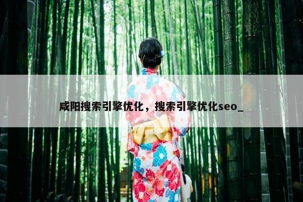 咸阳搜索引擎优化，搜索引擎优化seo_