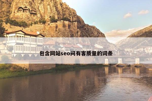 包含网站seo问有客质量的词条