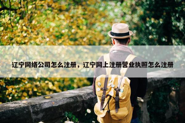 辽宁网络公司怎么注册，辽宁网上注册营业执照怎么注册