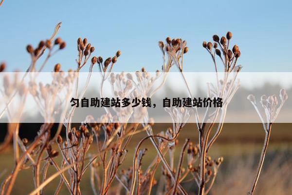匀自助建站多少钱，自助建站价格