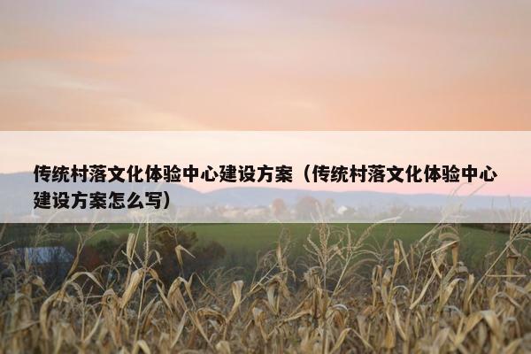 传统村落文化体验中心建设方案（传统村落文化体验中心建设方案怎么写）