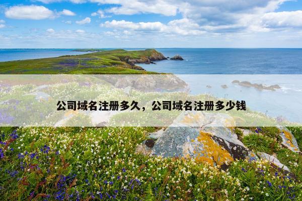 公司域名注册多久，公司域名注册多少钱