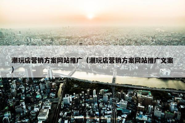 潮玩店营销方案网站推广（潮玩店营销方案网站推广文案）