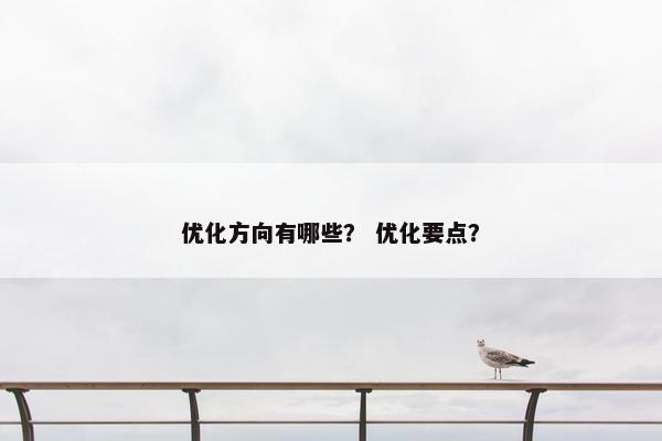 优化方向有哪些？ 优化要点？