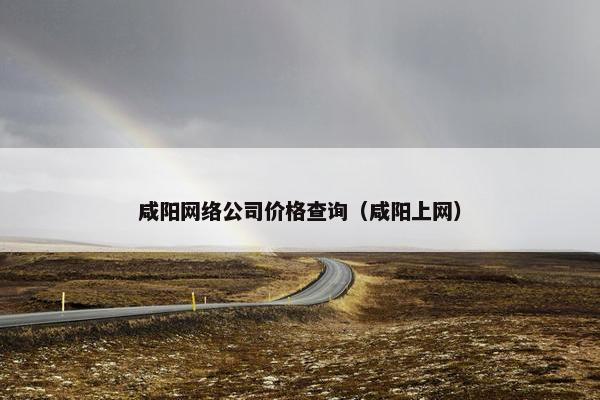 咸阳网络公司价格查询（咸阳上网）