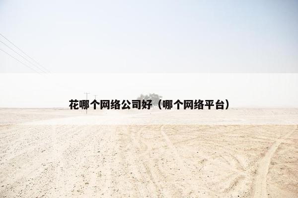 花哪个网络公司好（哪个网络平台）
