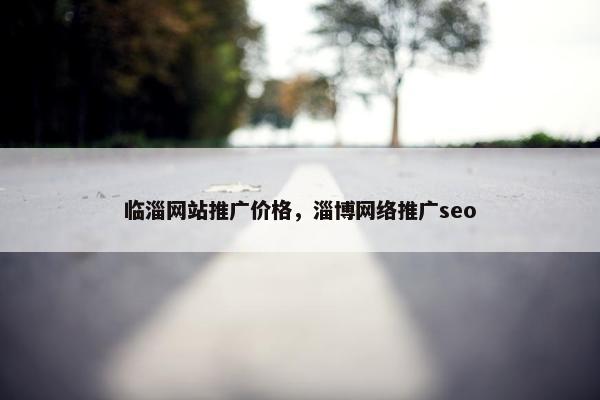 临淄网站推广价格，淄博网络推广seo