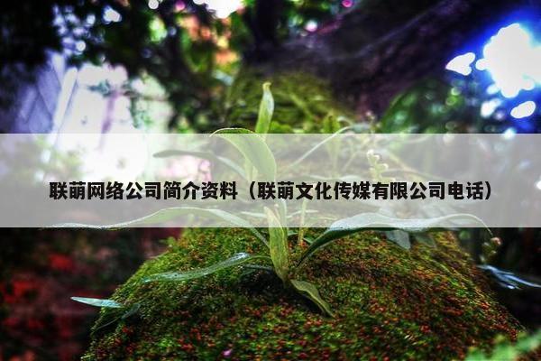 联萌网络公司简介资料（联萌文化传媒有限公司电话）