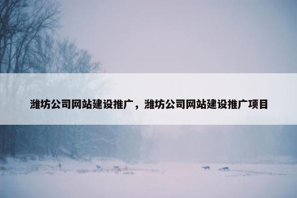 潍坊公司网站建设推广，潍坊公司网站建设推广项目