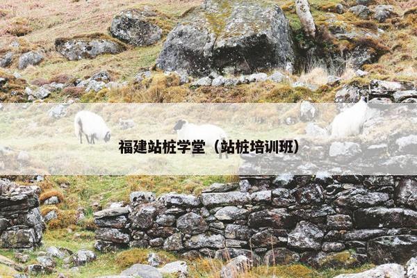 福建站桩学堂（站桩培训班）