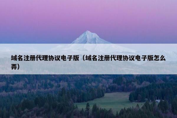 域名注册代理协议电子版（域名注册代理协议电子版怎么弄）