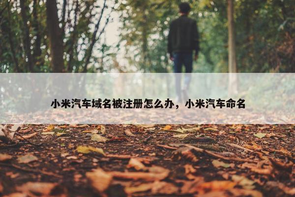 小米汽车域名被注册怎么办，小米汽车命名