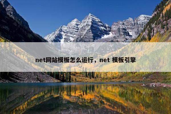 net网站模板怎么运行，net 模板引擎