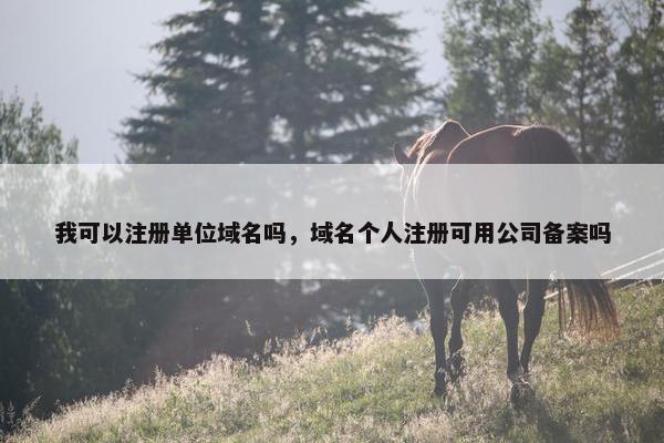 我可以注册单位域名吗，域名个人注册可用公司备案吗