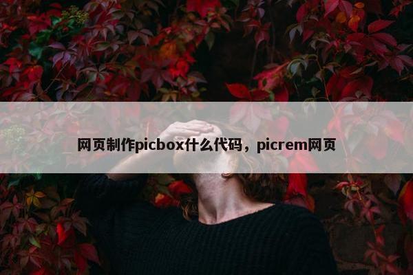 网页制作picbox什么代码，picrem网页
