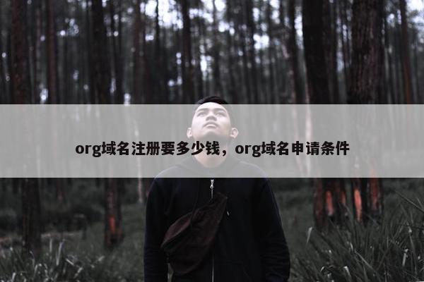 org域名注册要多少钱，org域名申请条件