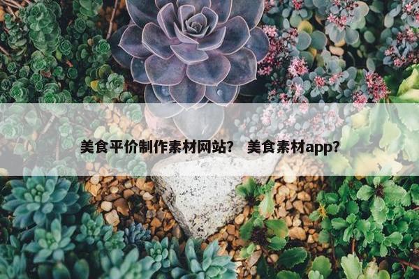 美食平价制作素材网站？ 美食素材app？