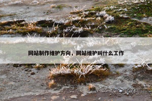 网站制作维护方向，网站维护叫什么工作