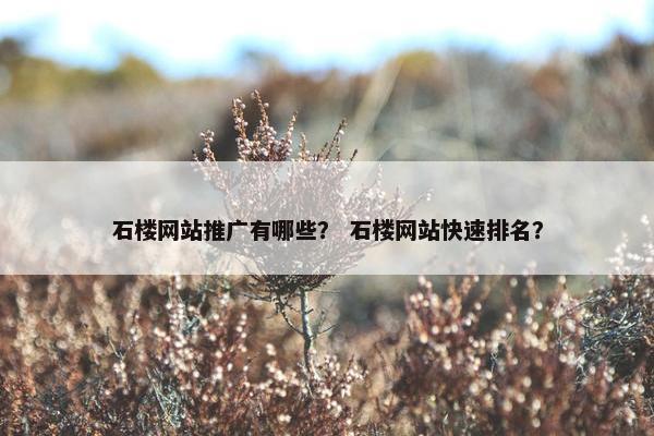 石楼网站推广有哪些？ 石楼网站快速排名？
